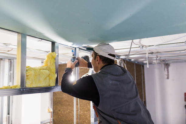 Types of Insulation We Offer in Highland Springs, VA