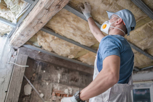 Best Insulation for Specific Applications in Highland Springs, VA