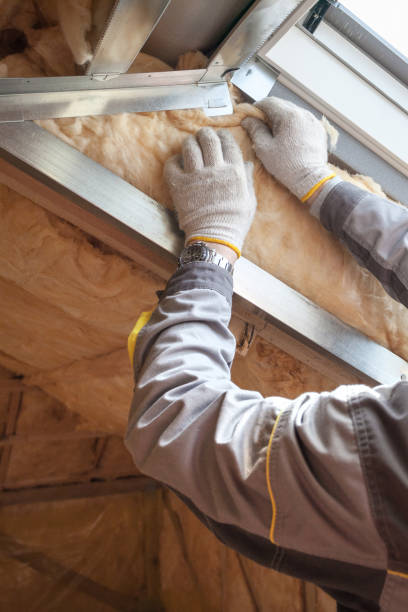 Best DIY Insulation Kits and Guidance in Highland Springs, VA