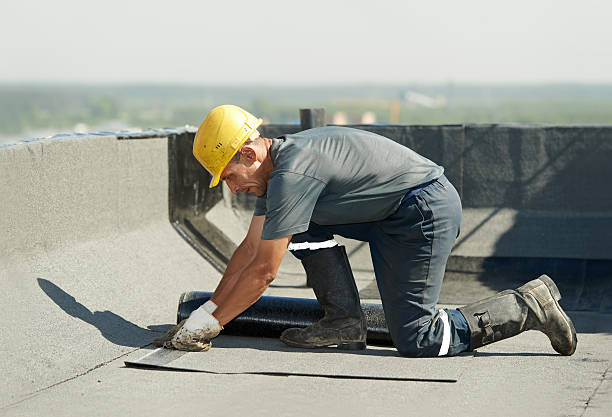 Best Specialized Insulation Services in Highland Springs, VA