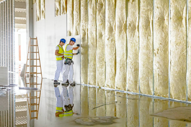 Best Spray Foam Insulation in Highland Springs, VA